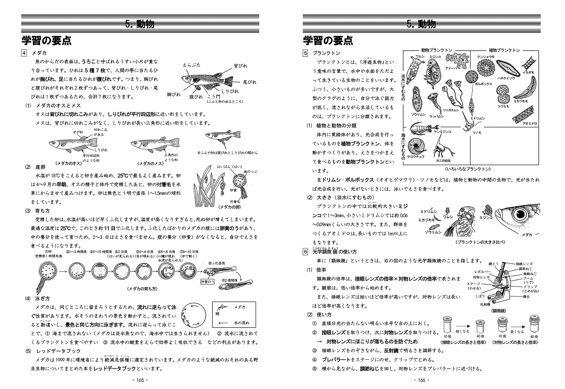 能開センター小5公開模試1年分季節講習会テスト最難関チャレンジ盆特訓