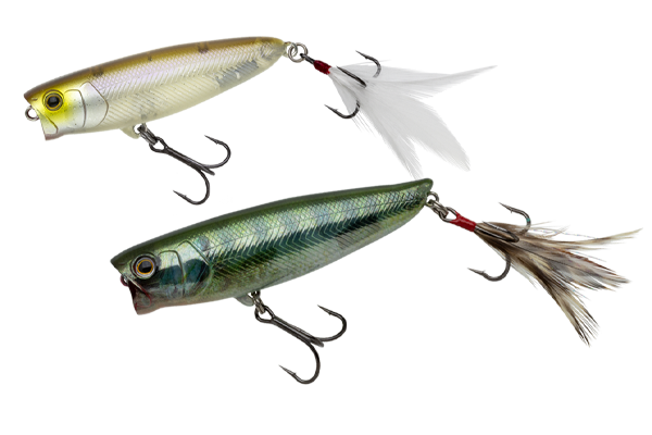 GILL TOP | BASS | NORIES