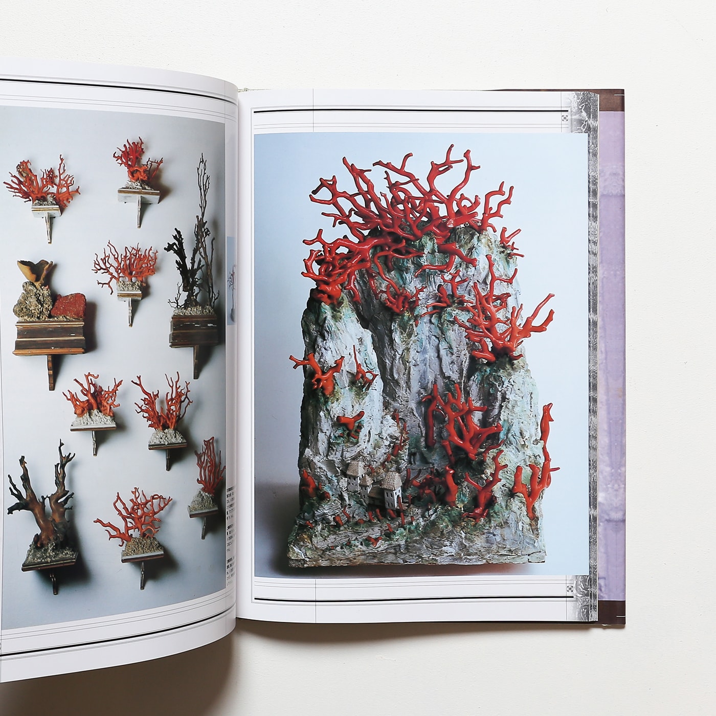 驚異の部屋 ハプスブルク家の珍宝蒐集室 | エリーザベト・シャイヒャー