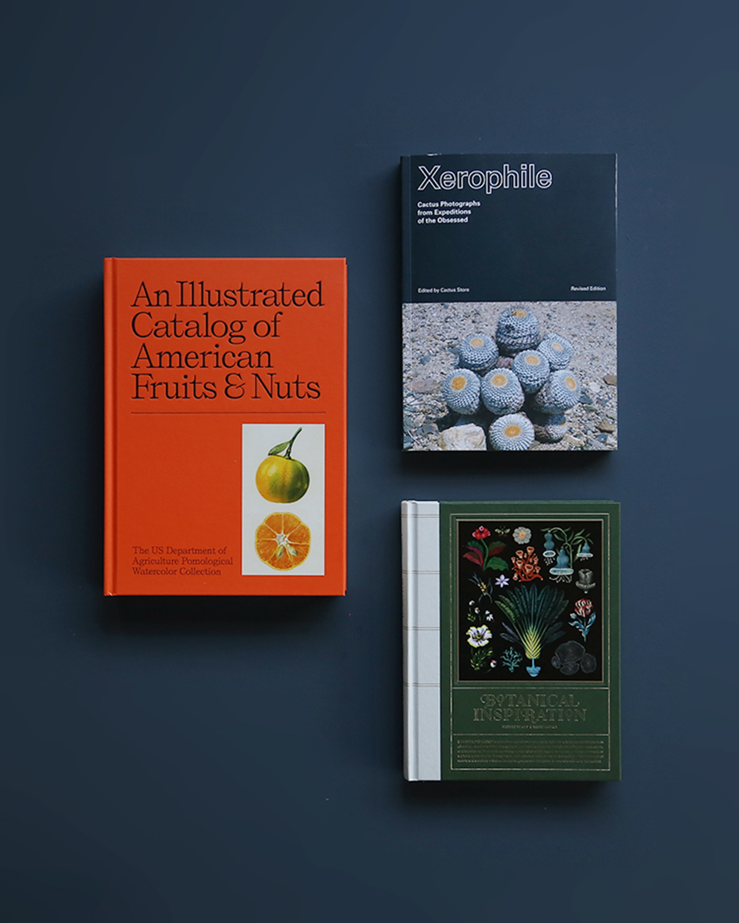 RED BOOKS | Andy Warhol アンディ・ウォーホル | nostos books ノスト