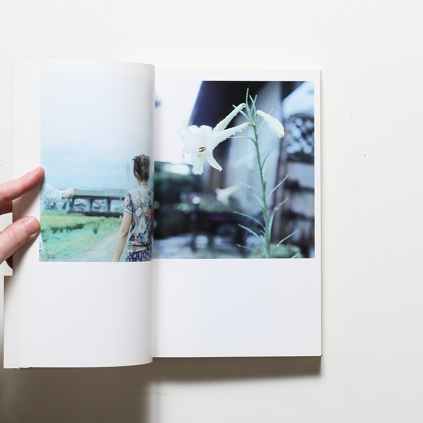 Cui Cui | 川内倫子 | nostos books ノストスブックス