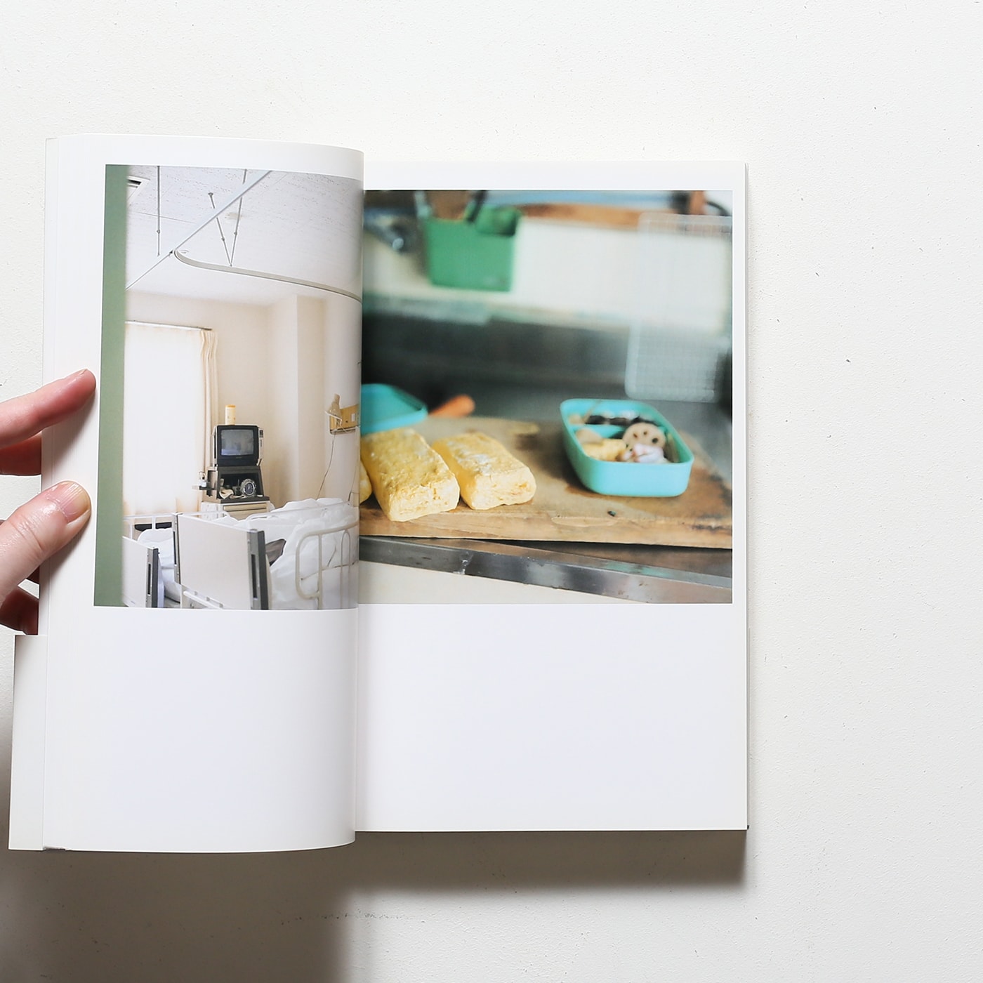 Cui Cui | 川内倫子 | nostos books ノストスブックス