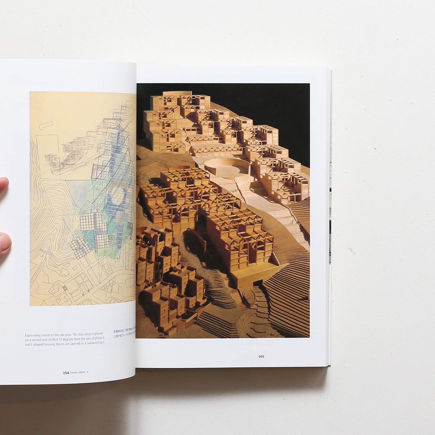 安藤忠雄の建築 0 Process and Idea | TOTO出版 | nostos books ノスト