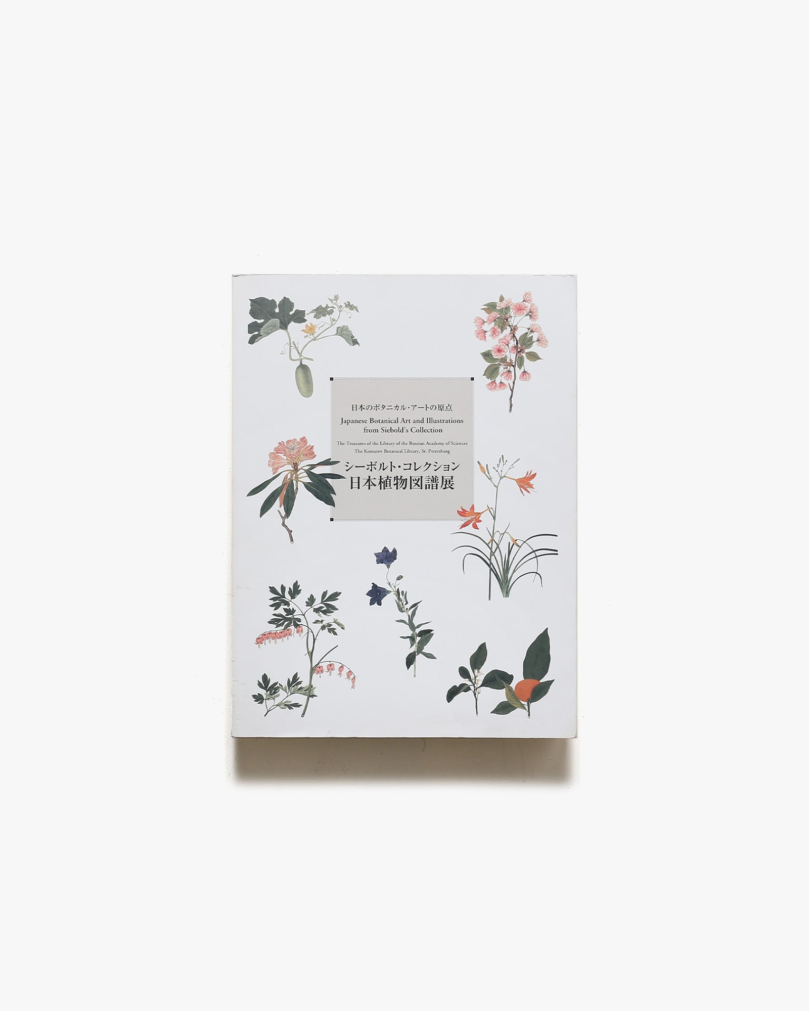 シーボルト・コレクション日本植物図譜展 | nostos books ノストスブックス
