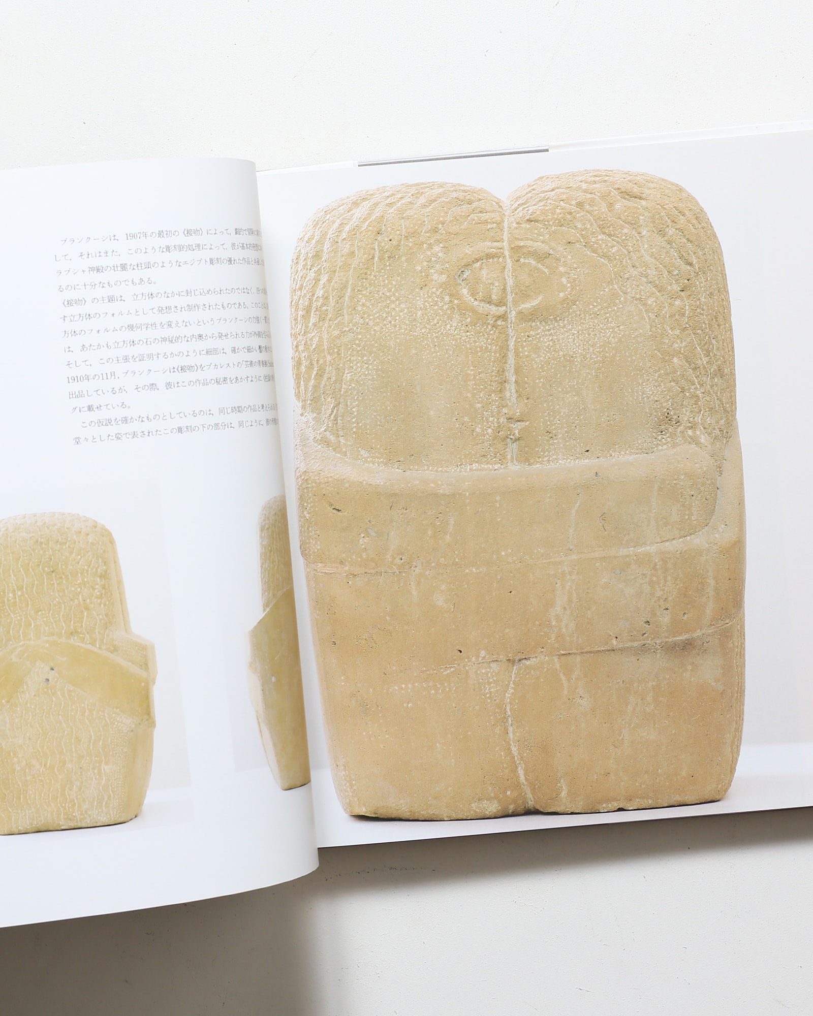 ブランクーシ作品集 | ラドゥ・ヴァリア | nostos books ノストスブックス