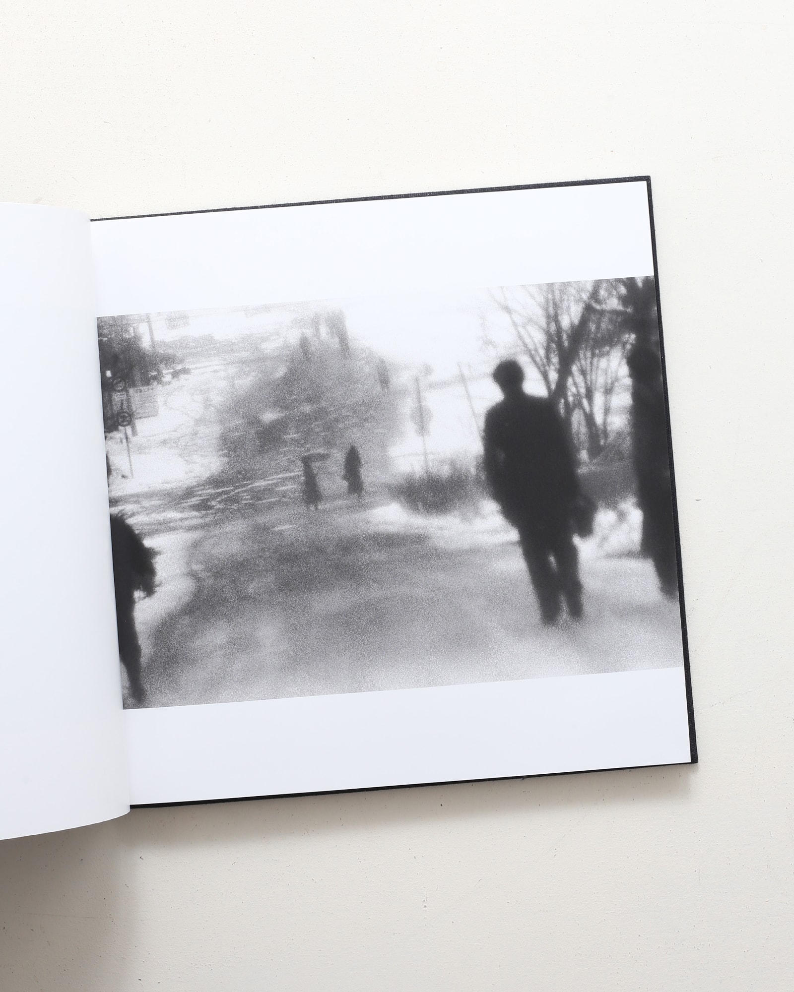 鴉 Ravens | 深瀬昌久 | nostos books ノストスブックス