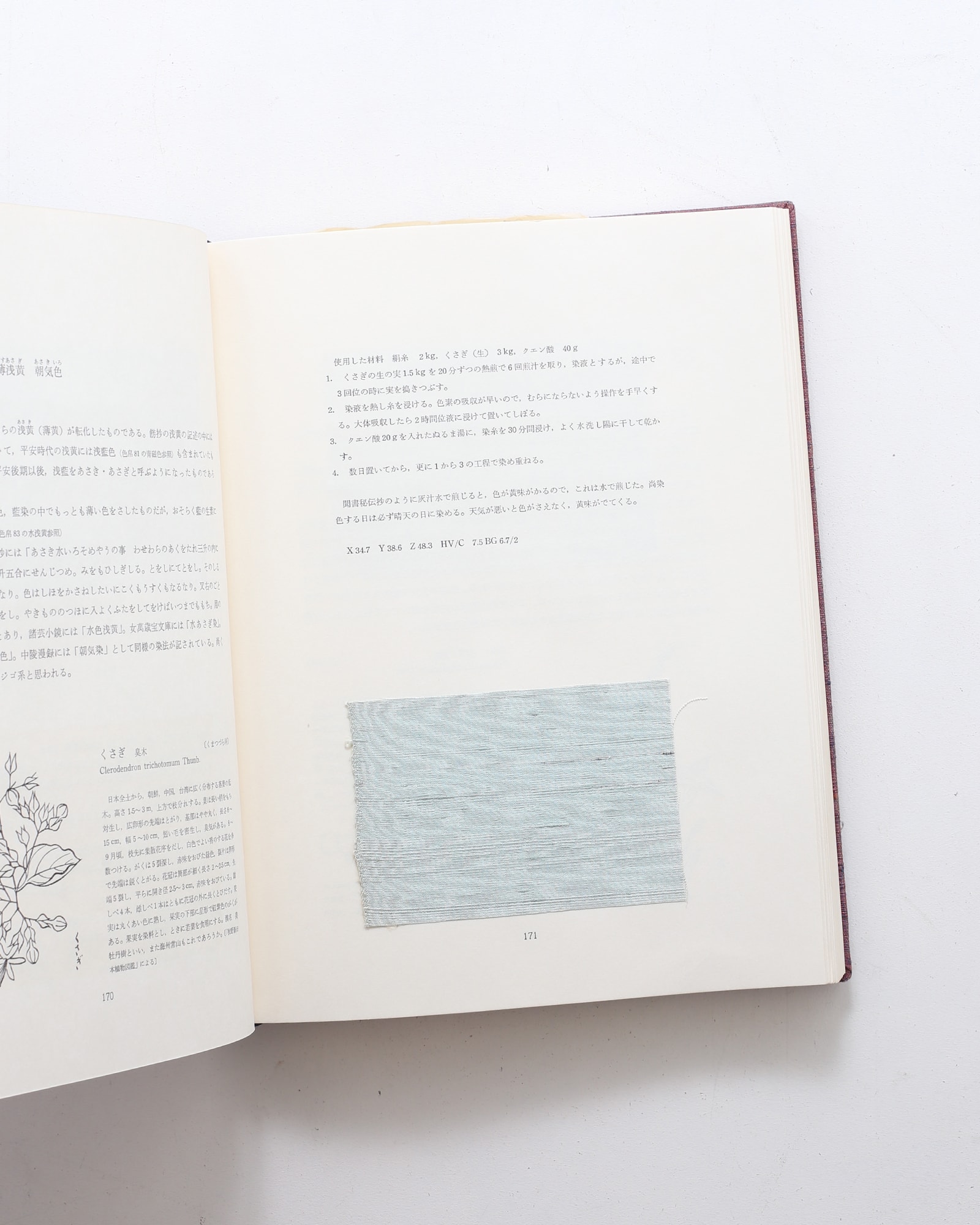 草木染 日本の色 | 山崎青樹 | nostos books ノストスブックス