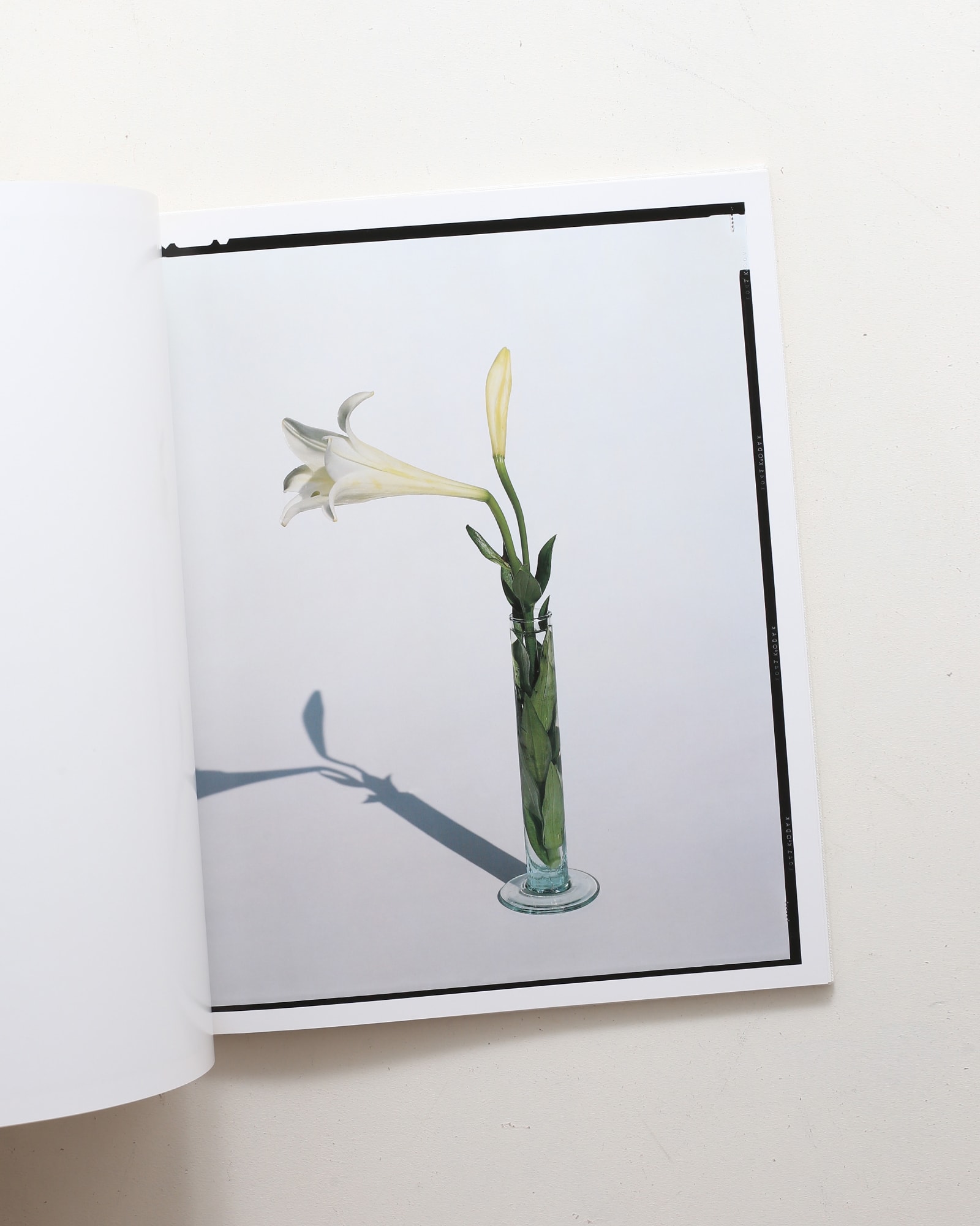 Flowers | 上田義彦 | nostos books ノストスブックス