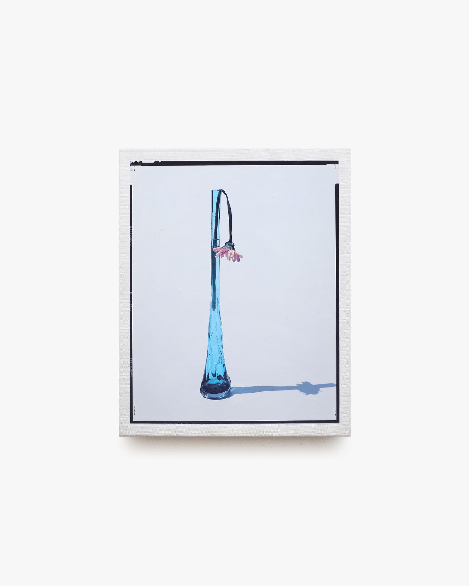 Flowers | 上田義彦 | nostos books ノストスブックス