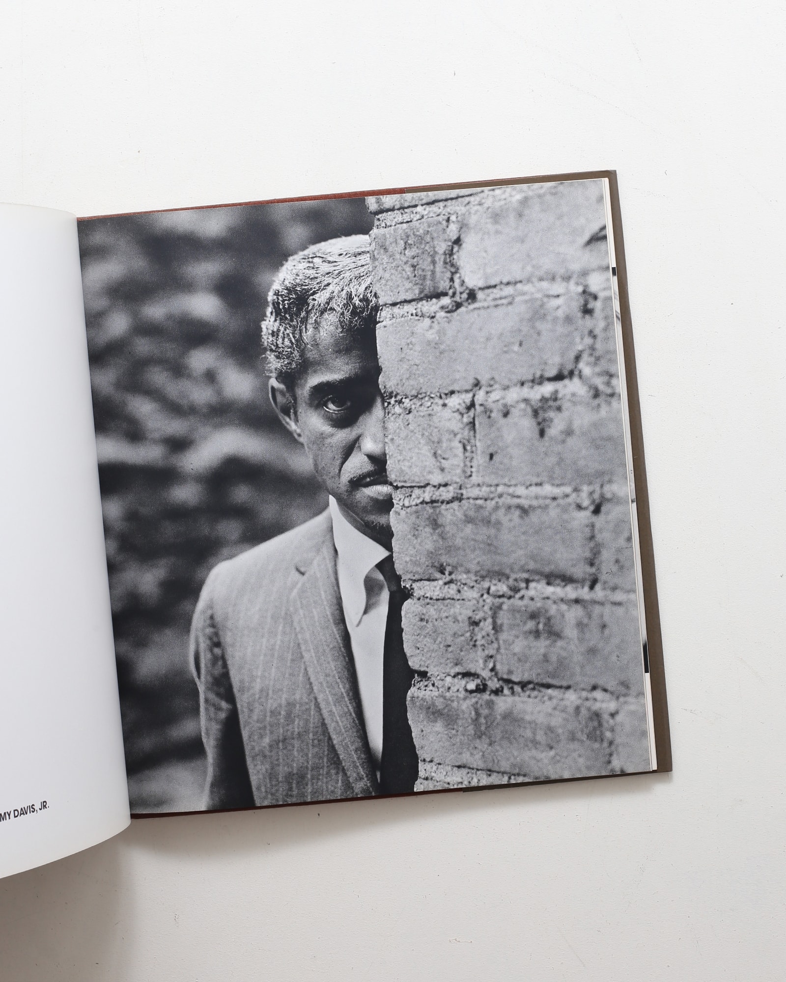 Sight and Insight | Philippe Halsman | nostos books ノストスブックス