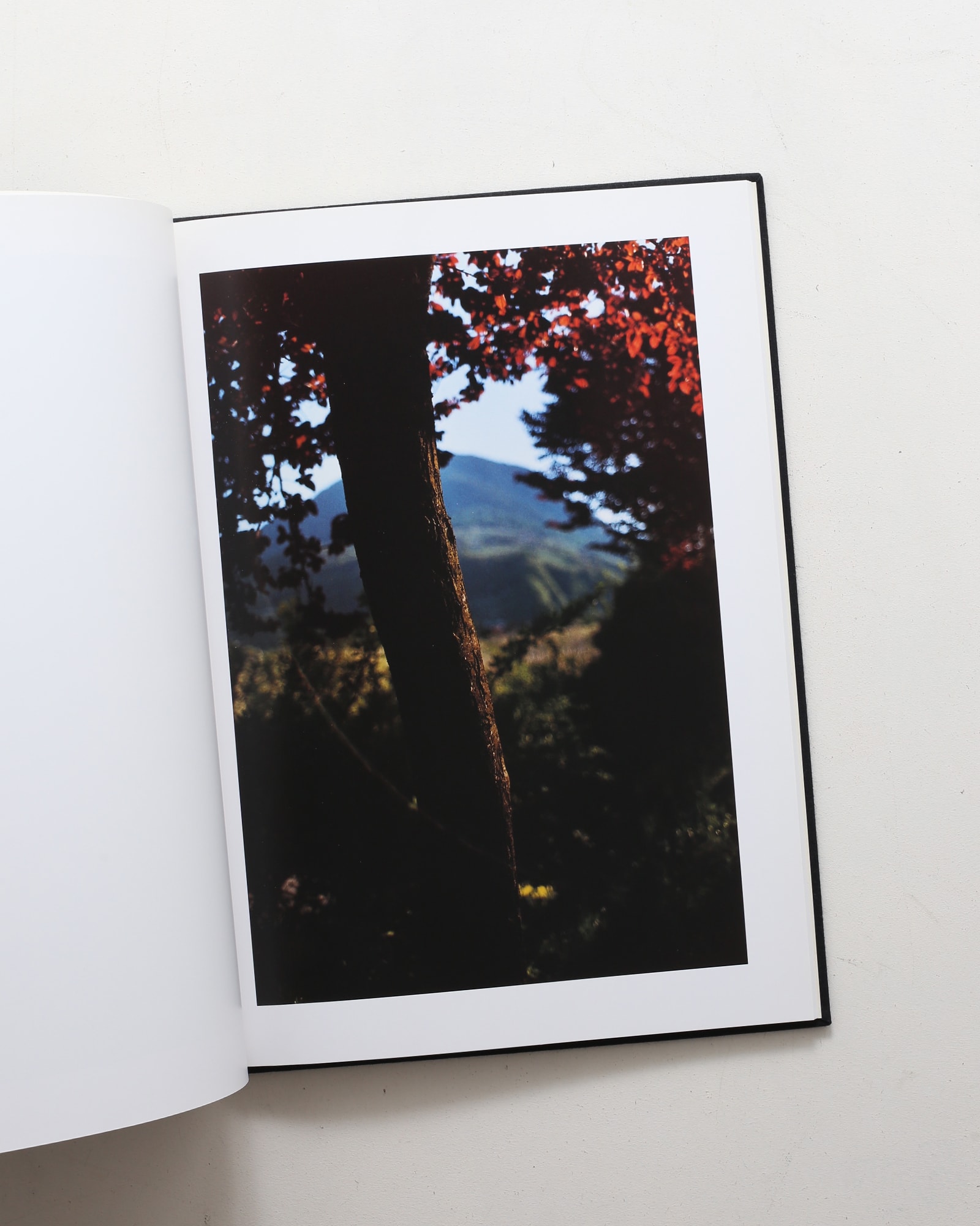 Lana: Photographs Made of a Single Locale | Terri Weifenbach テリ