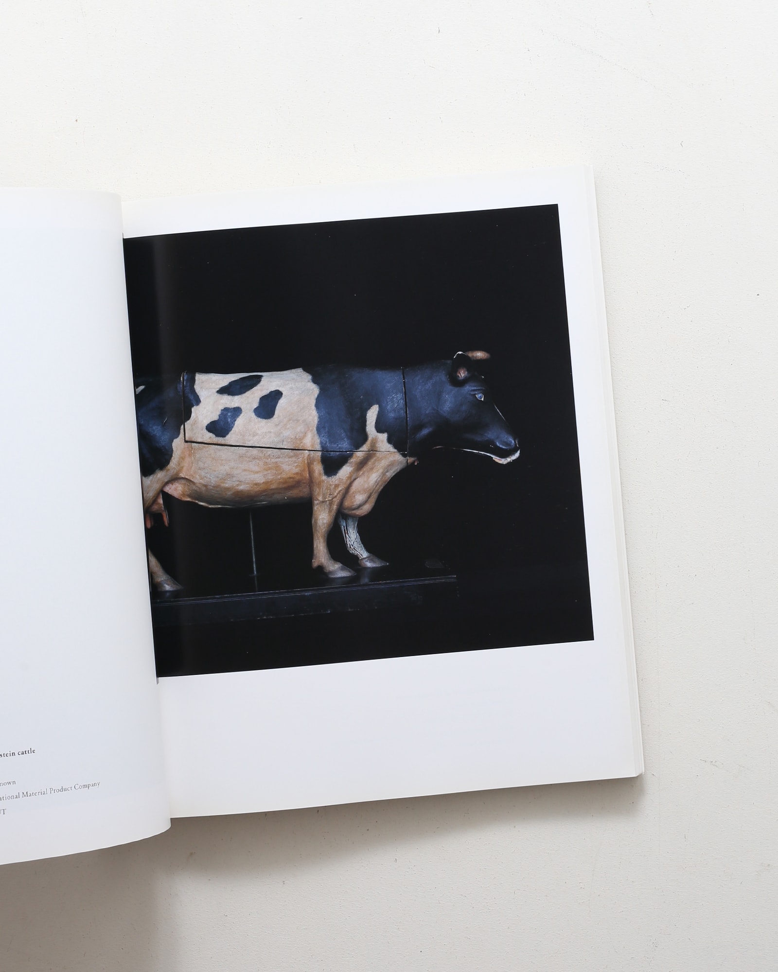 Chamber of Curiosities 東京大学コレクション | 上田義彦、西野嘉章