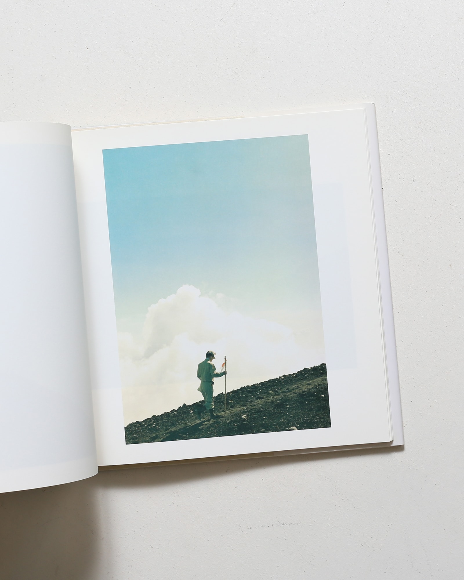 鳥を見る | 野口里佳 | nostos books ノストスブックス