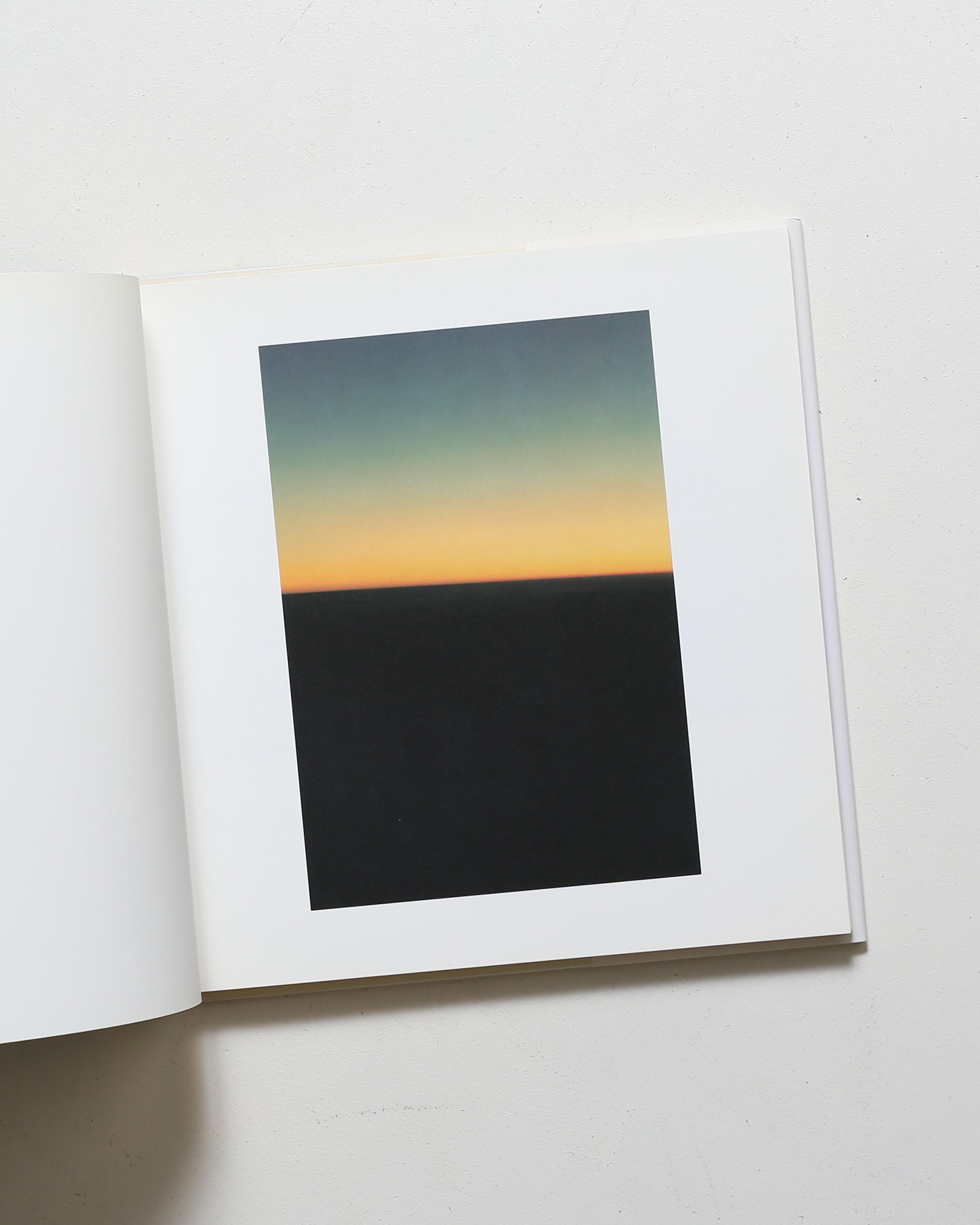 鳥を見る | 野口里佳 | nostos books ノストスブックス