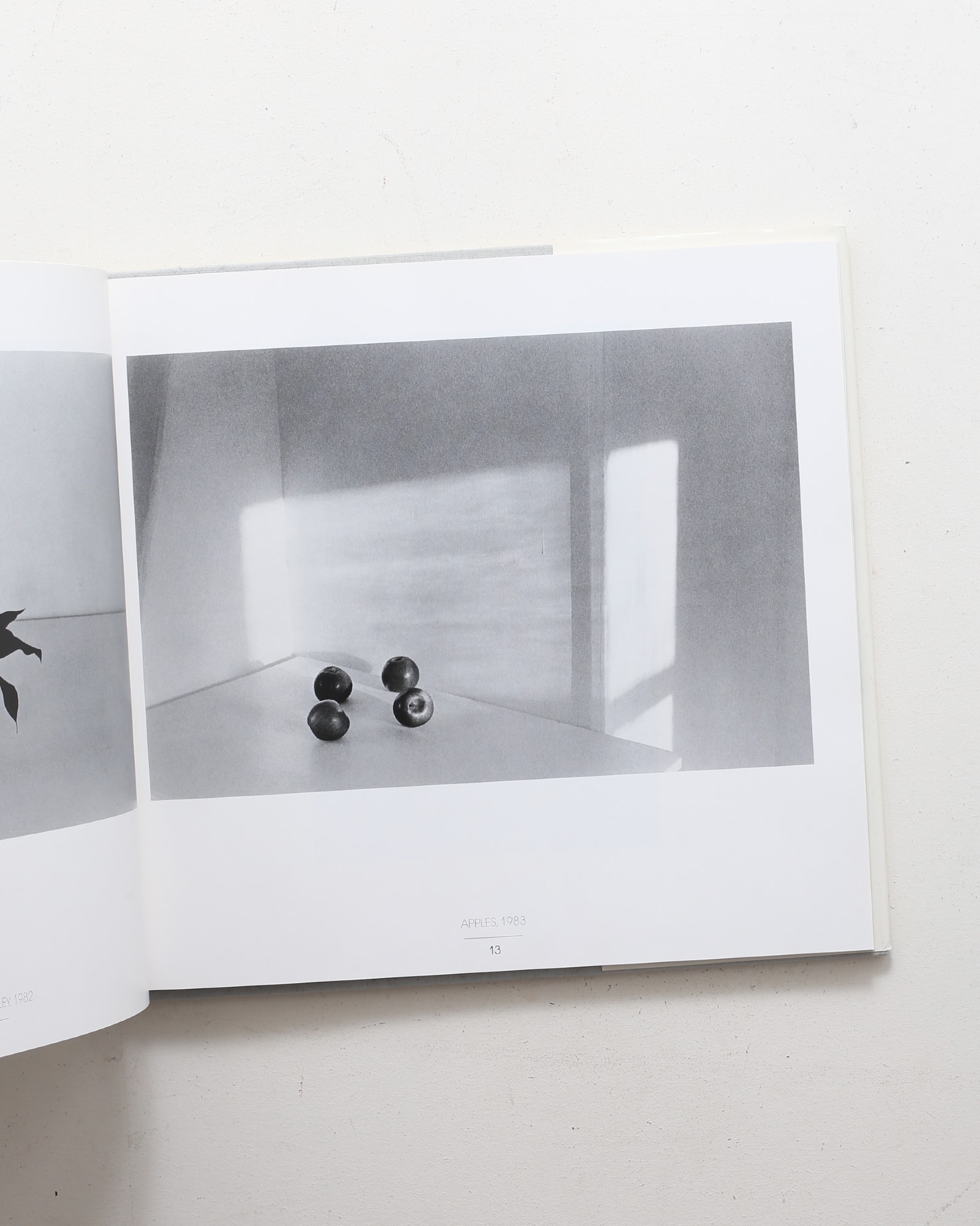 Revealing Lights | Lilo Raymond | nostos books ノストスブックス