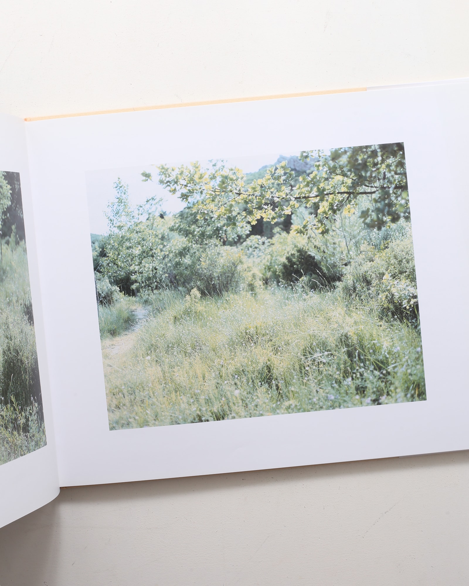 Mont Sainte Victoire | 鈴木理策 | nostos books ノストスブックス