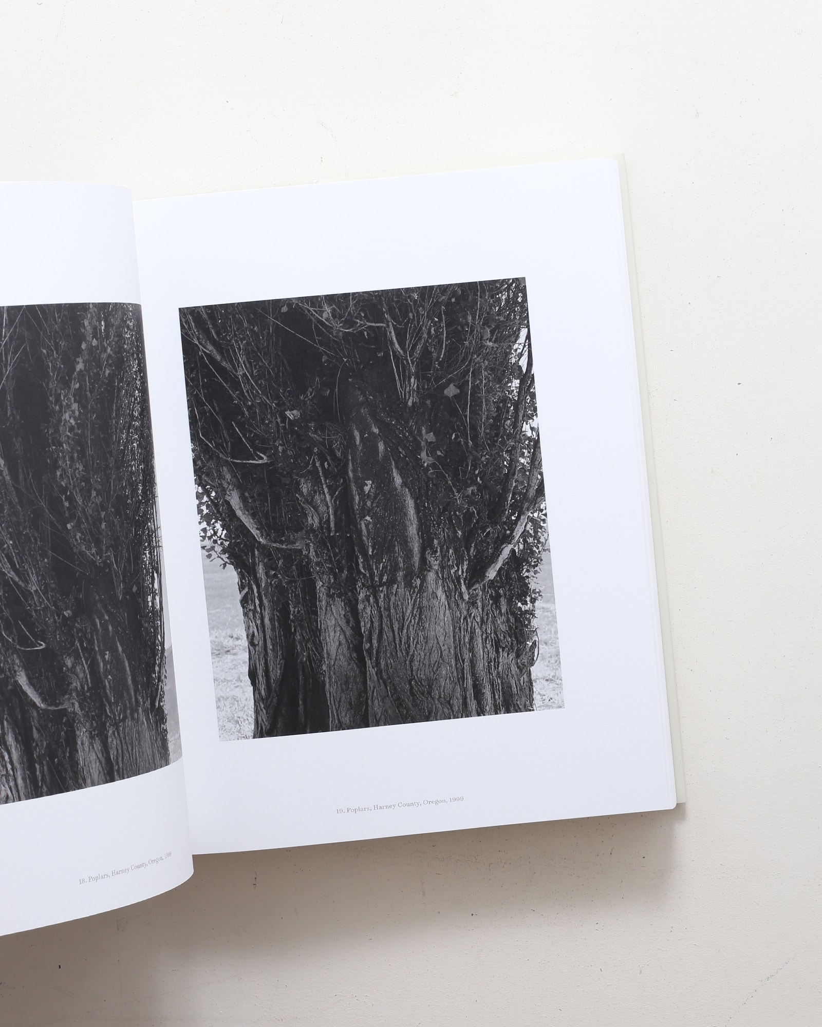 American Silence: The Photographs of Robert Adams | nostos books