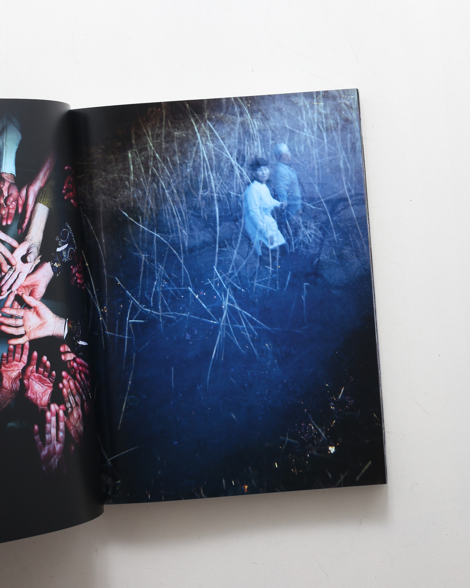 螺旋海岸 album | 志賀理江子 | nostos books ノストスブックス