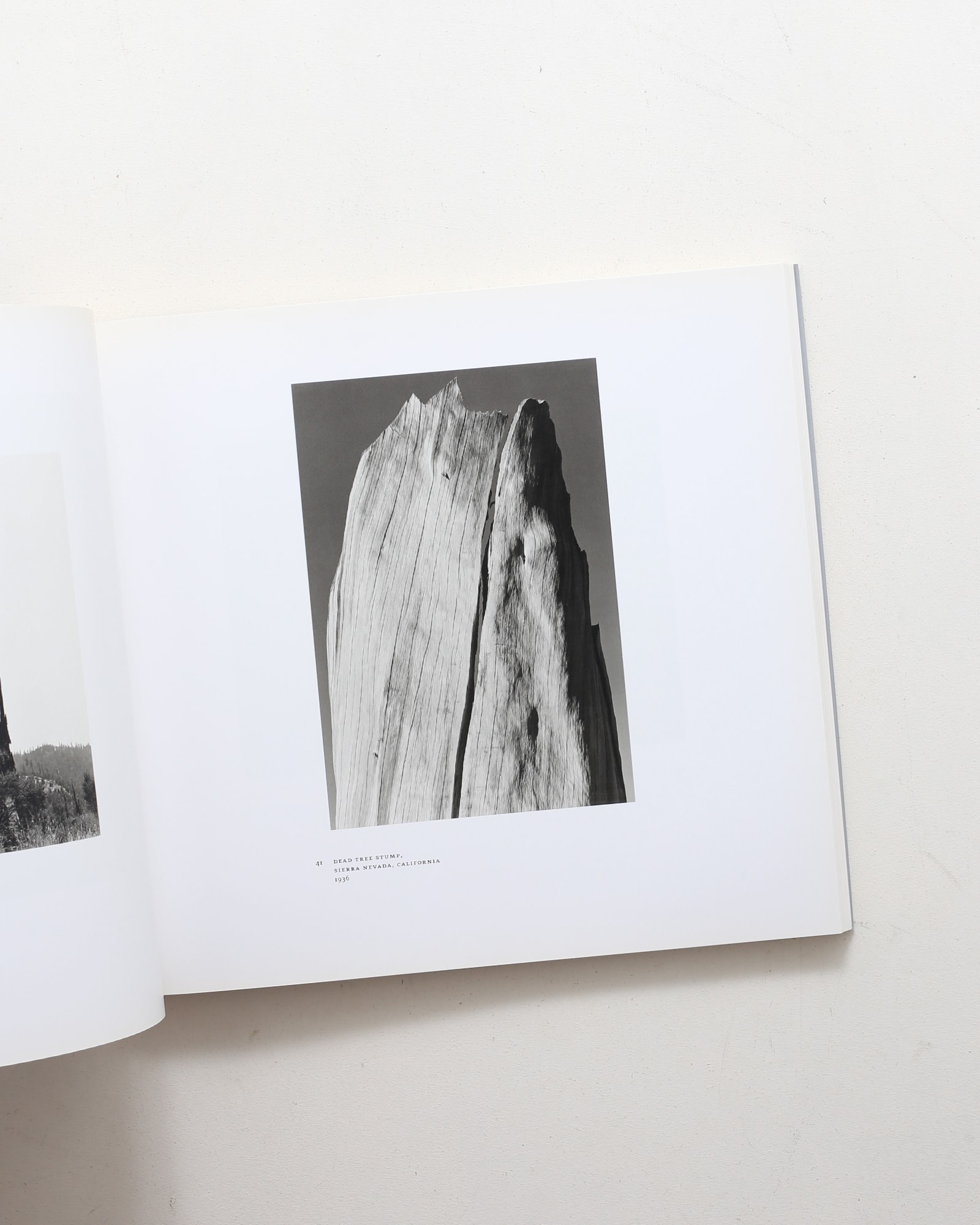 Ansel Adams at 100 | アンセル・アダムス | nostos books ノストス