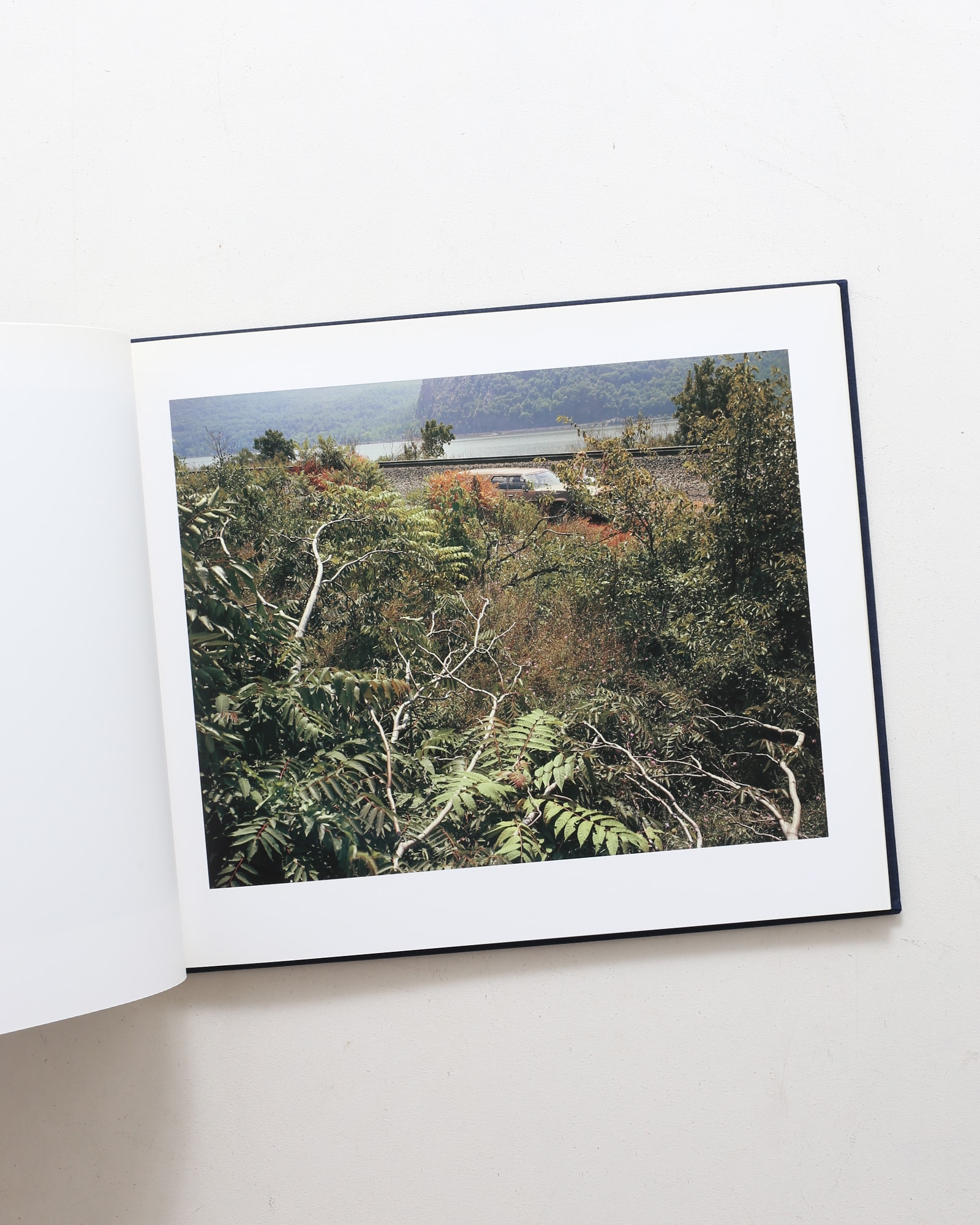 Stephen Shore: The Hudson Valley | スティーブン・ショア | nostos