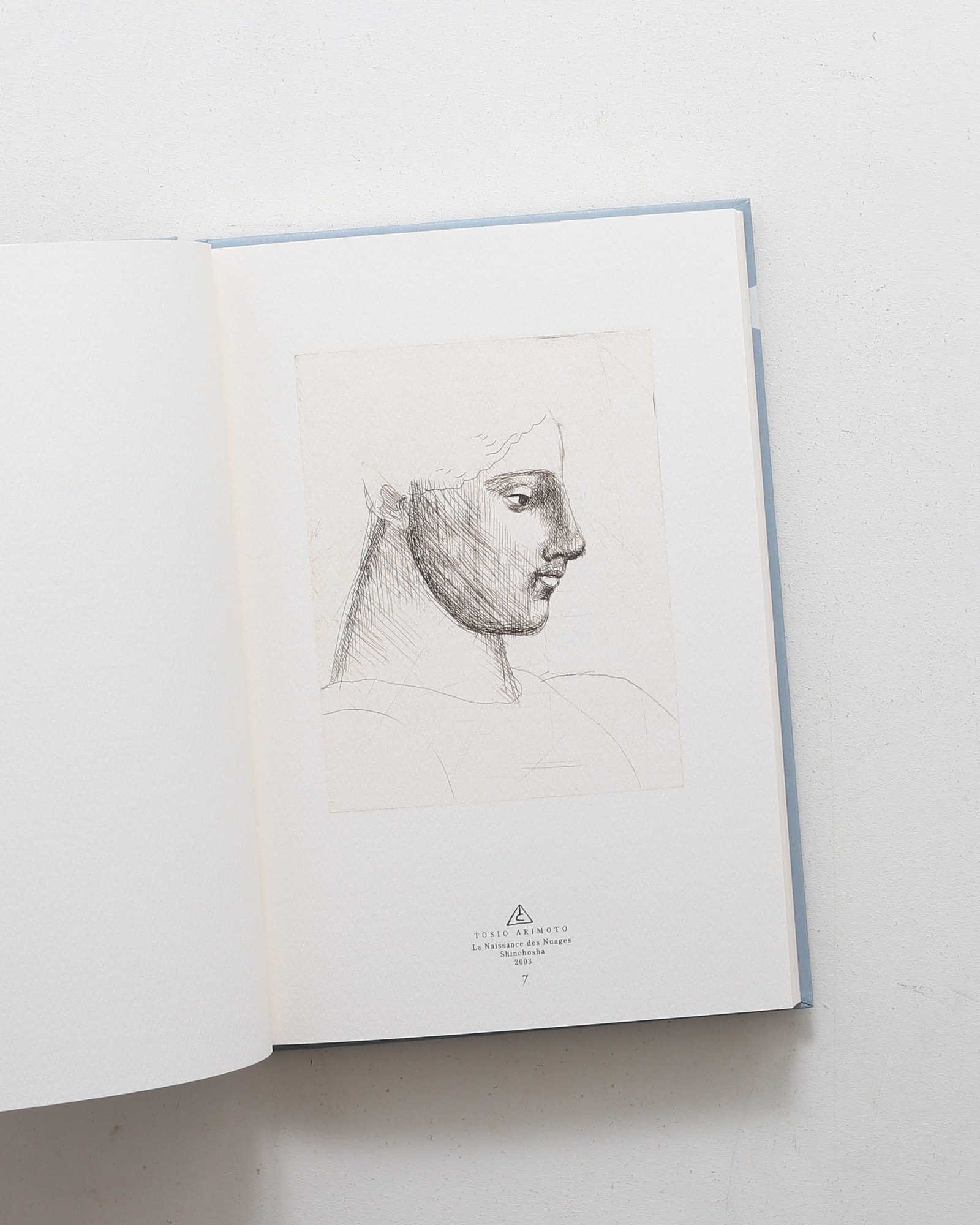 雲の誕生 有元利夫作品集 | nostos books ノストスブックス