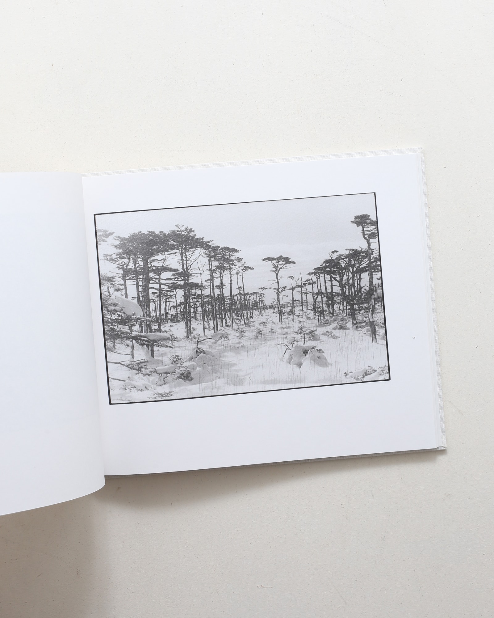 鹿渡り | 白石ちえこ | nostos books ノストスブックス