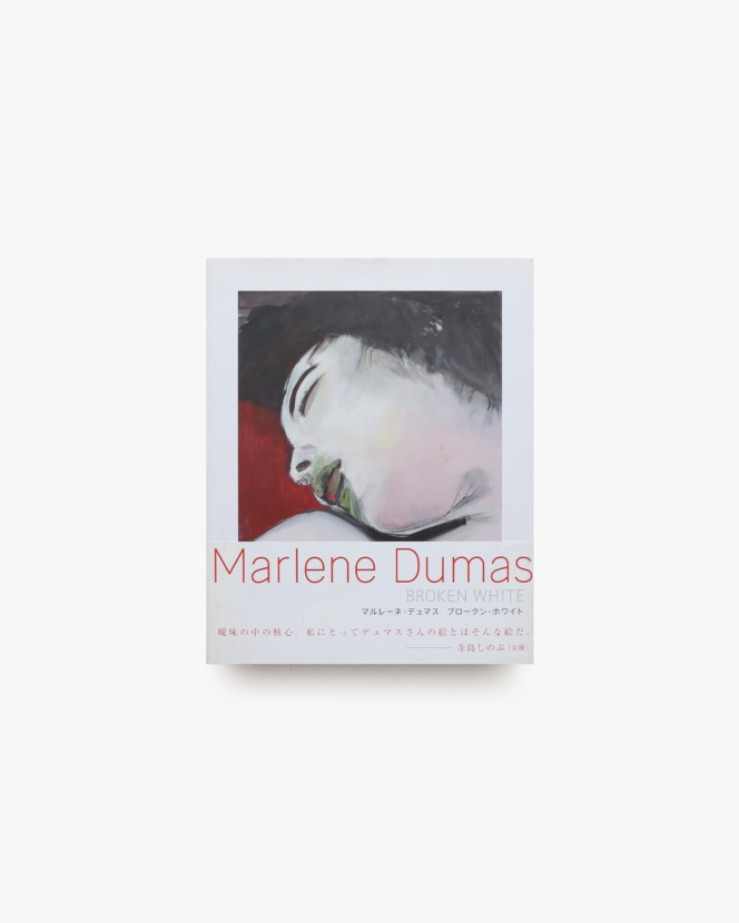 Shinro Ohtake: Notes 1985-1987 | 大竹伸朗 | nostos books ノストス