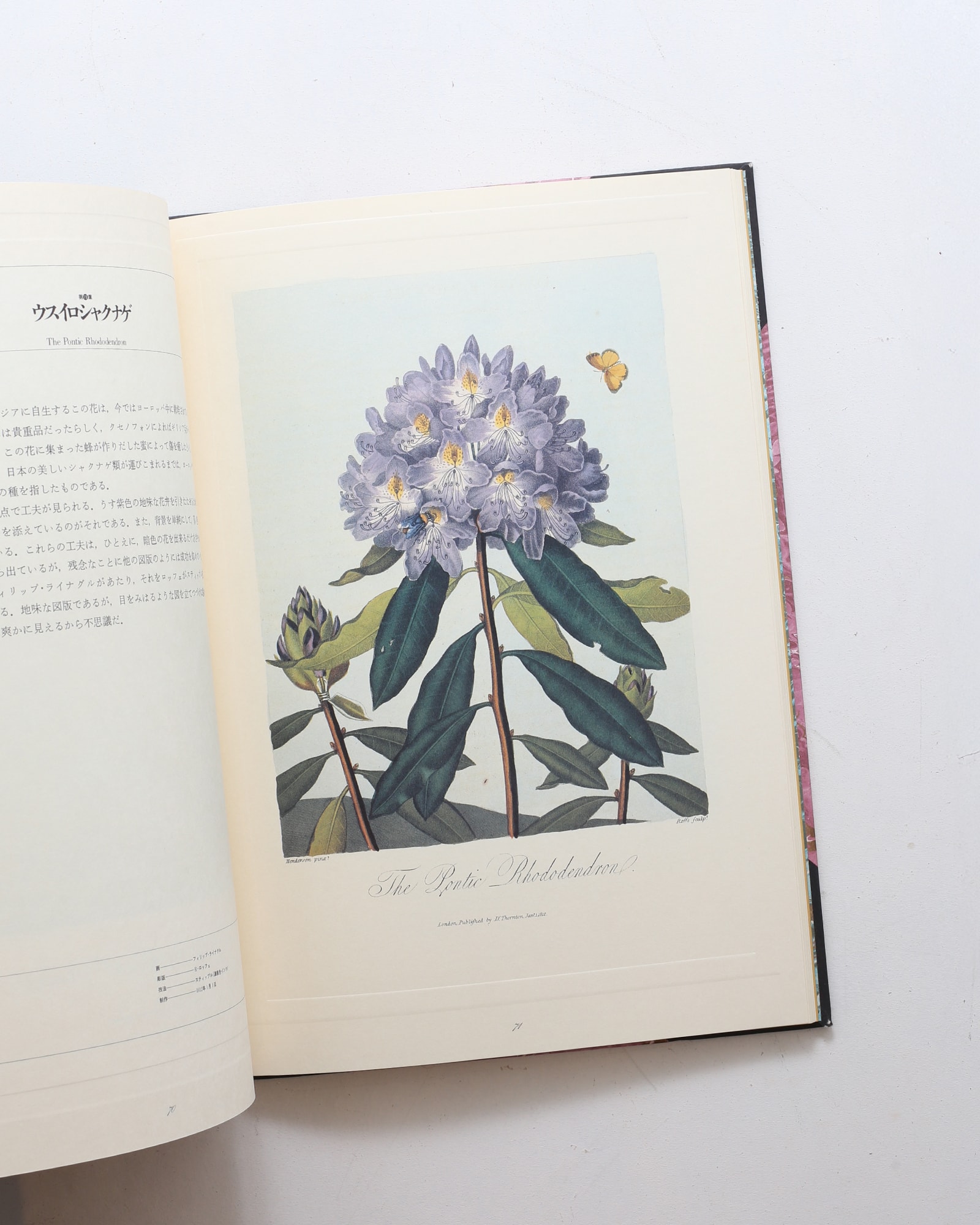 フローラの神殿 | ロバート・ジョン・ソーントン、荒俣宏 | nostos