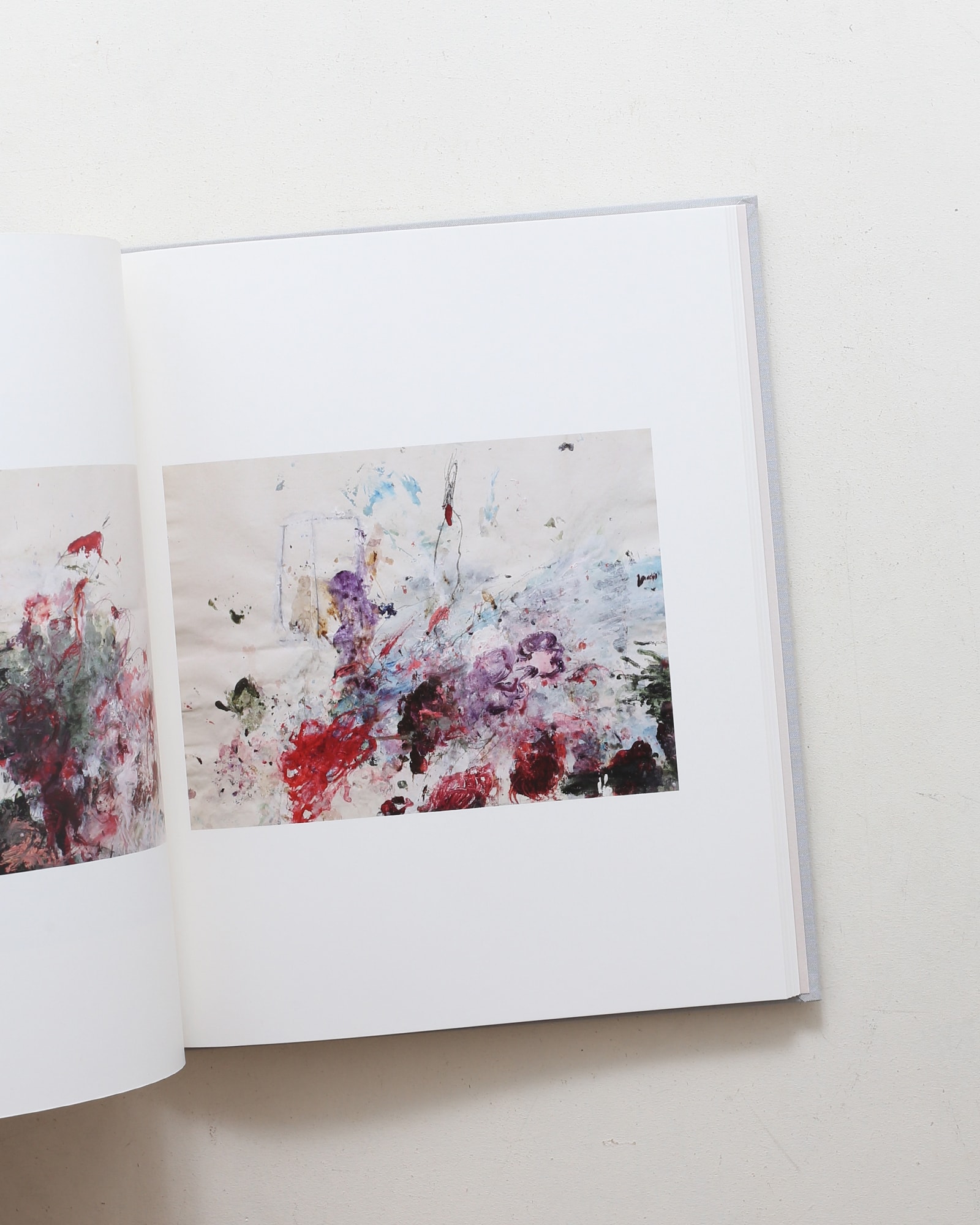 サイ・トゥオンブリーの写真 変奏のリリシズム | nostos books ノスト