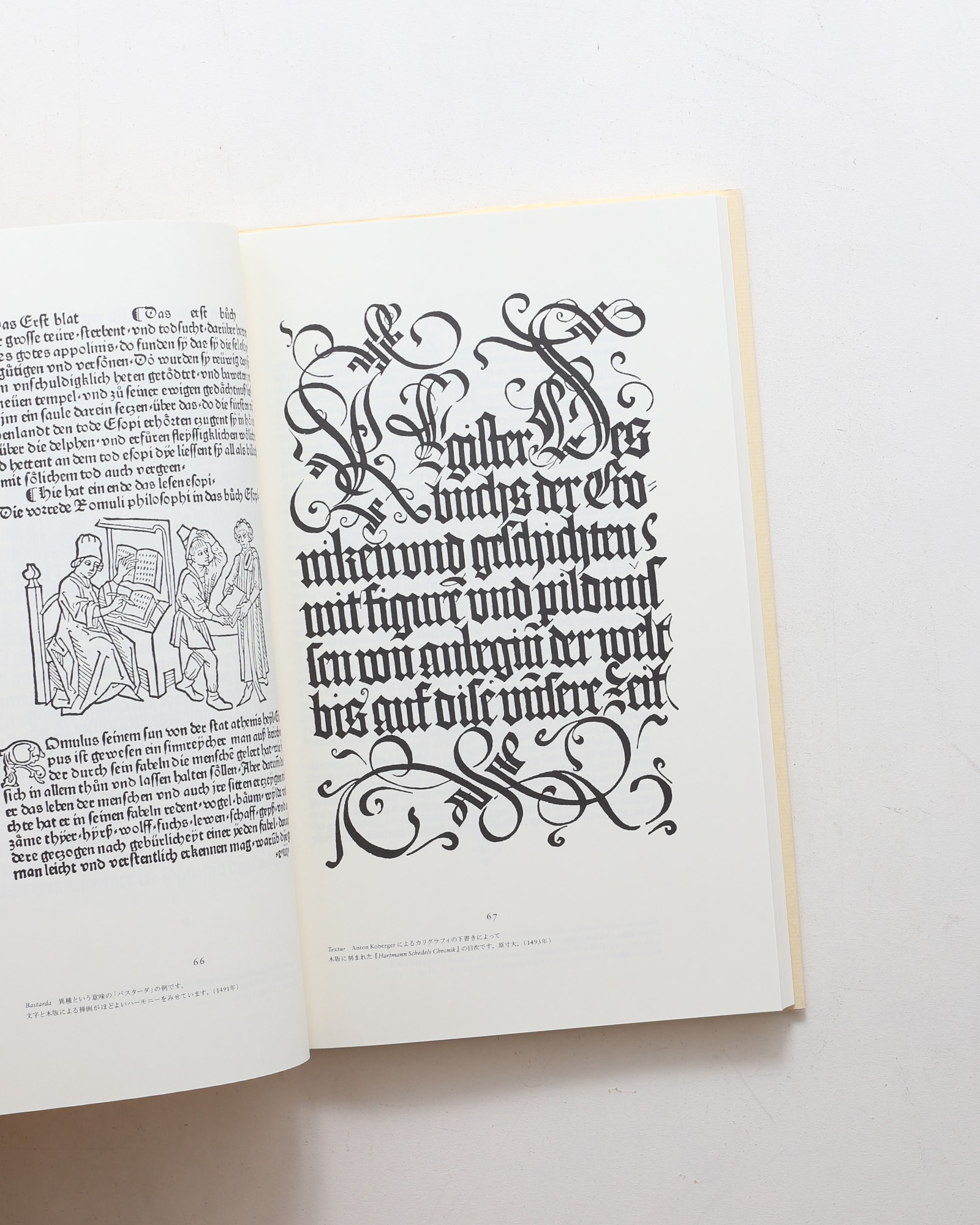 ヤン・チヒョルト 書物と活字 | nostos books ノストスブックス