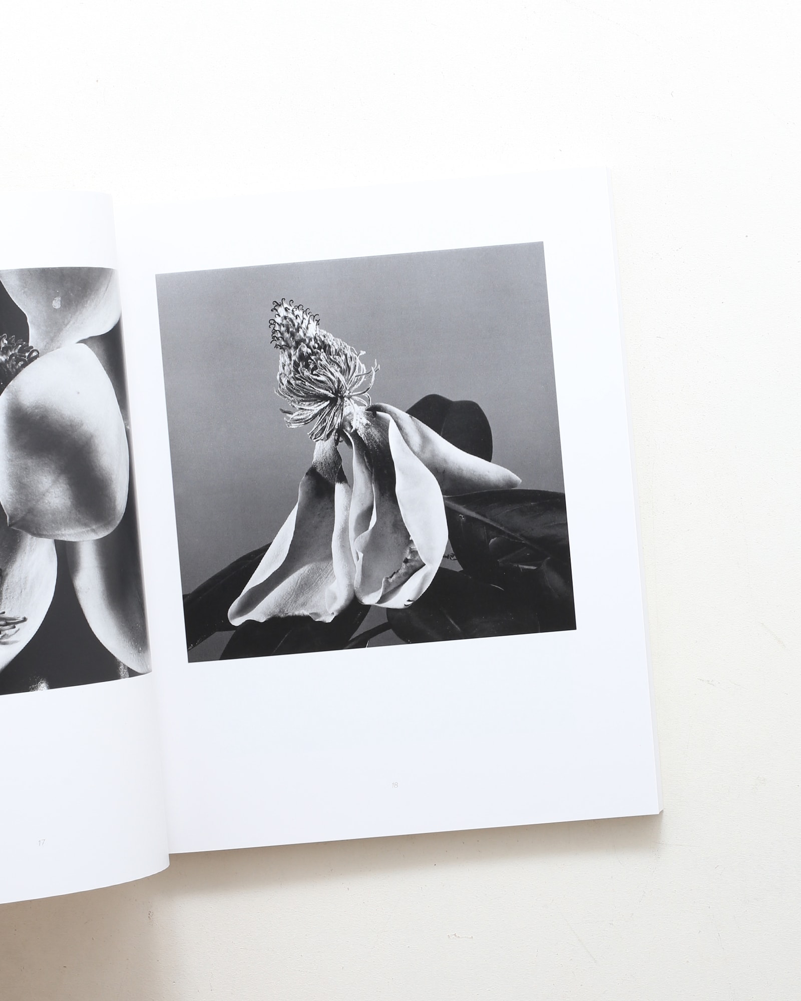 HANA | Yasuhiro Ishimoto | nostos books ノストスブックス