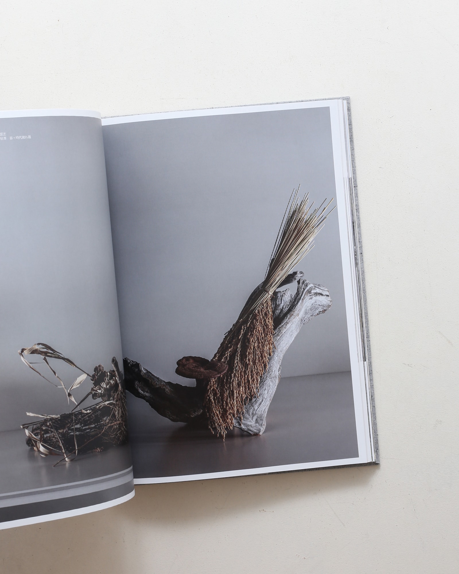 工芸青花21号 工芸青花｜21号 – 青花の会｜seikashop