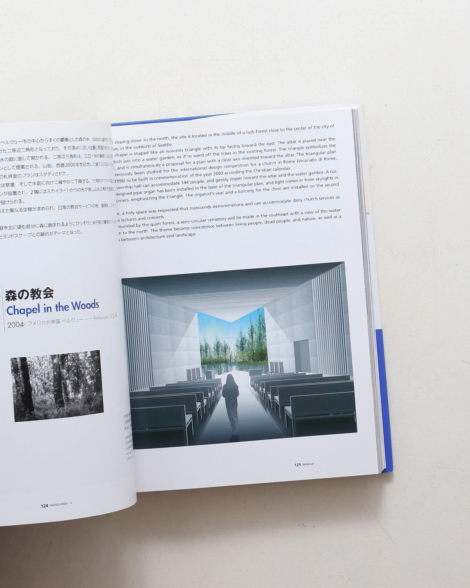 安藤忠雄の建築 2 | nostos books ノストスブックス