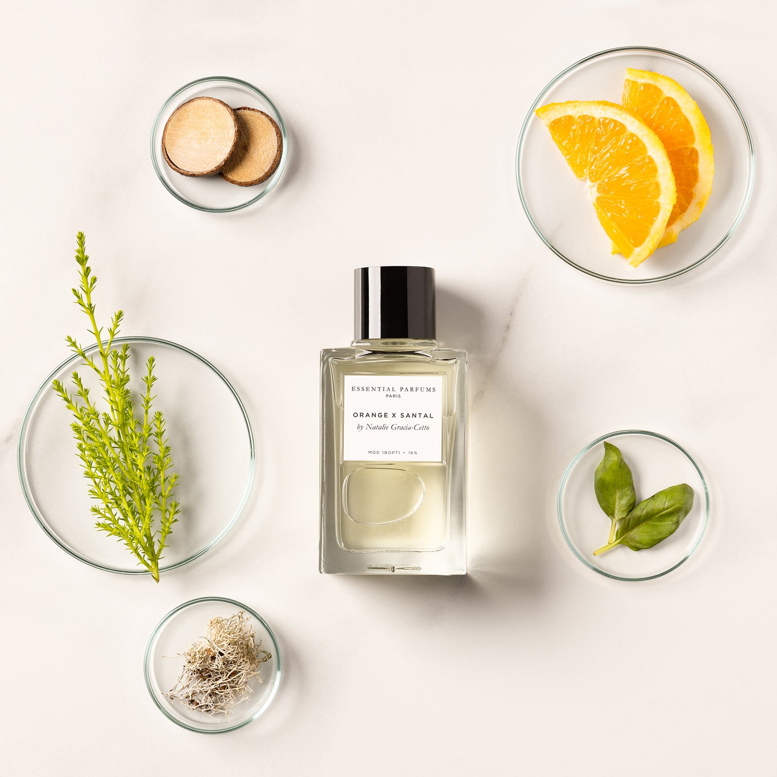 オランジュ・サンタル – NOSE SHOP