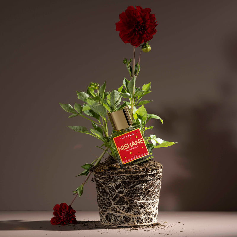 ヴェイン アンド ナイーブ｜虚栄心と世間知らず – NOSE SHOP