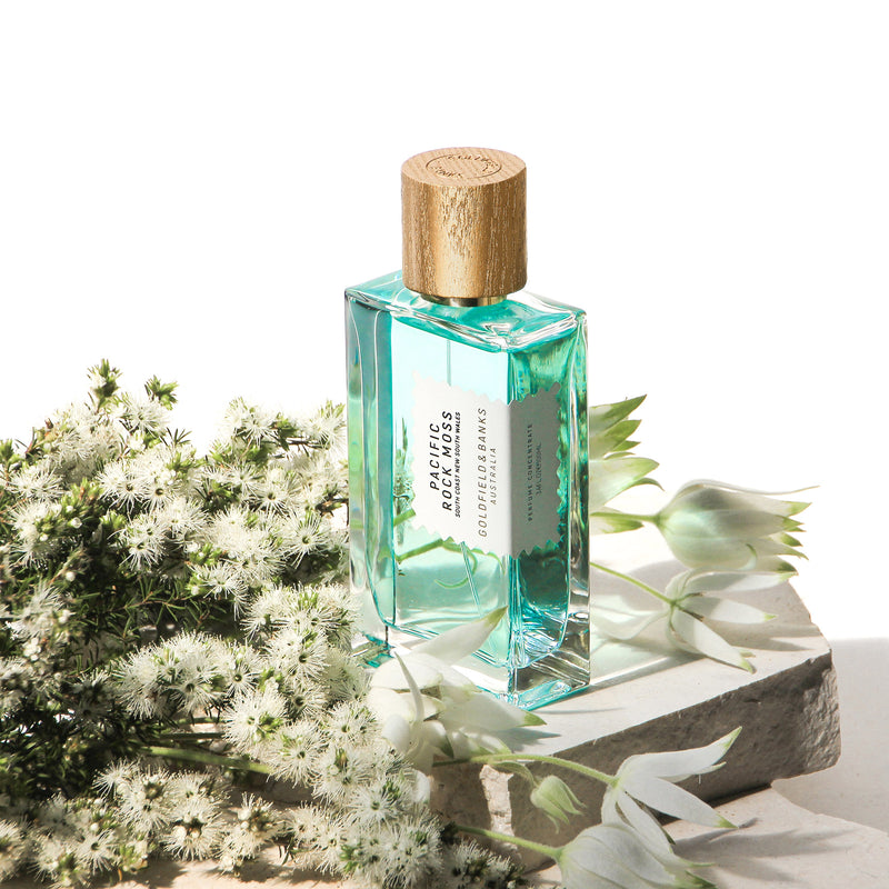 パシフィック ロック モス – NOSE SHOP