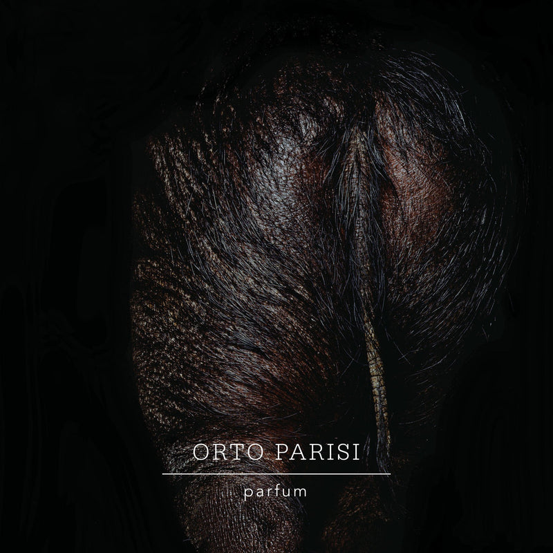 ステルクス｜糞 – NOSE SHOP