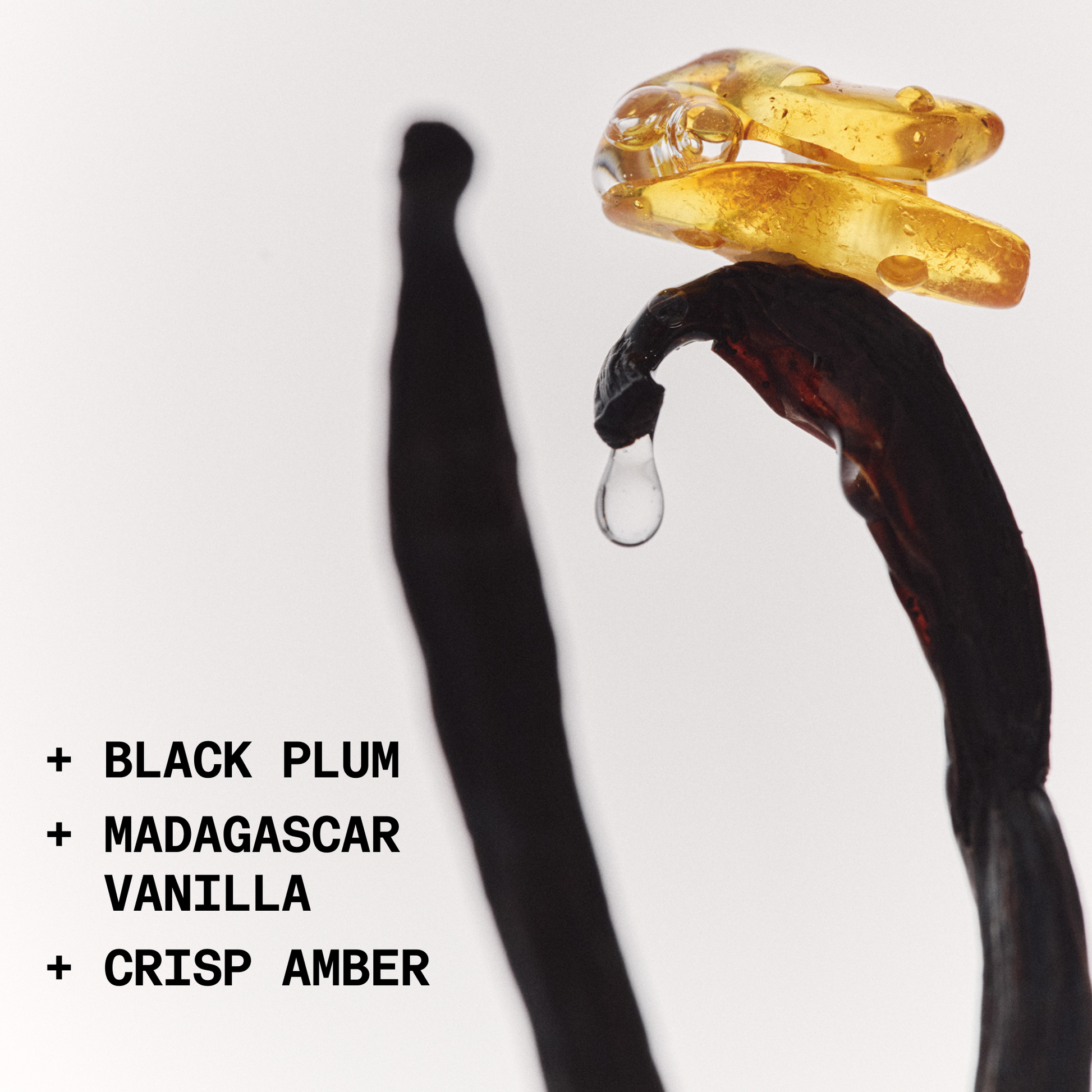 The Solid Fragrance Pair | NOYZ