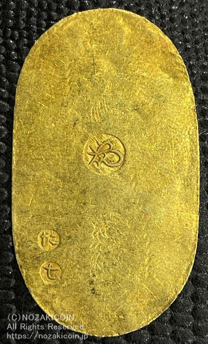 IMG_2671_700x.jpg?v=1689655850