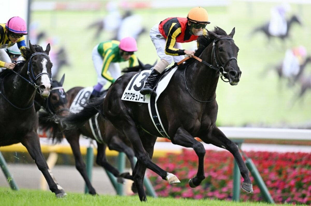 クロワデュノール 新馬戦から日本ダービーまでの現地応援馬券 2025年