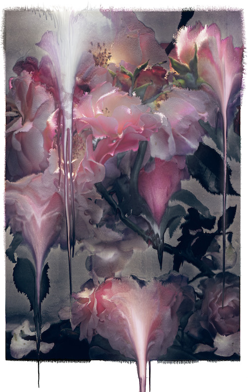 写真家ニック・ナイトによる日本で初めての個展が開催！ | Numero TOKYO