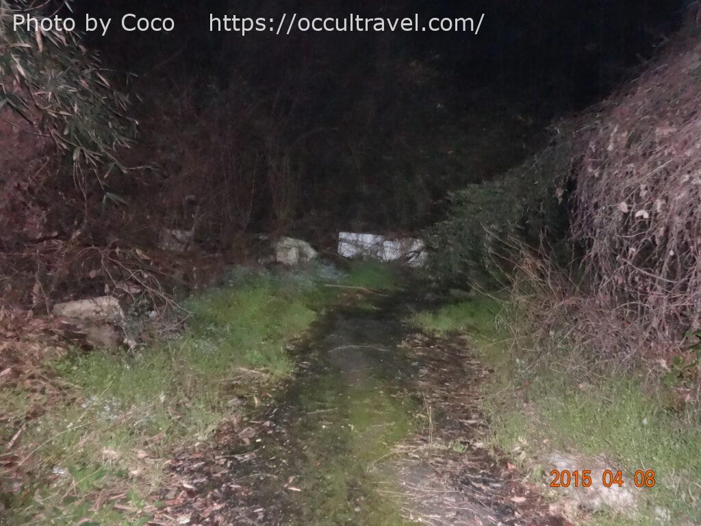 心霊スポット】住人達は一体どこに？七つの家。【山口県】 | オカルト