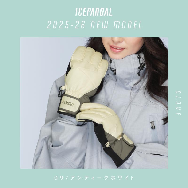 スノーボード グローブ レディース スノボ スキー スノー 手袋 5本指