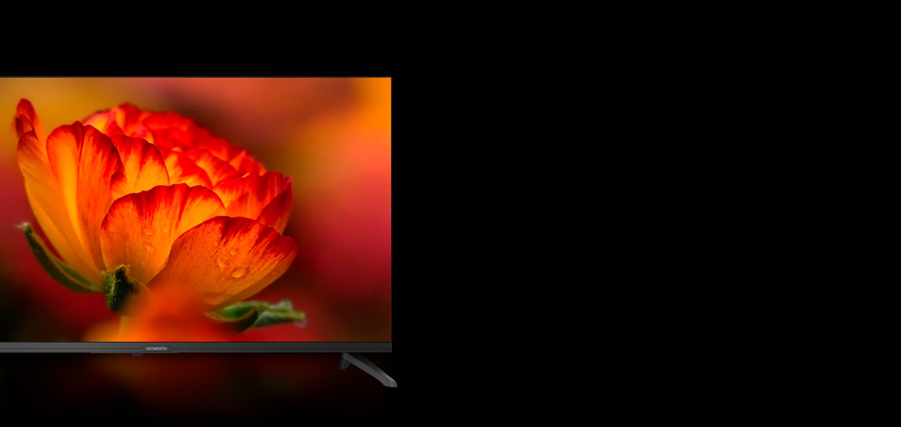 F32S21Q | SKYWORTH公式サイト