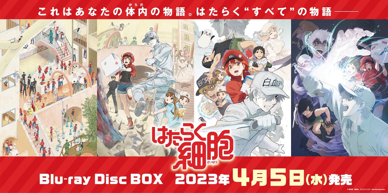 アニメ「はたらく細胞」BD-BOX2023年4月に発売、花澤香菜＆前野智昭も