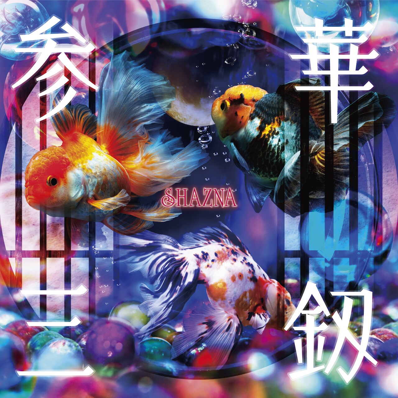 結成30周年のSHAZNAがライブ「参華三釼」開催、クロミ＆マイメロと