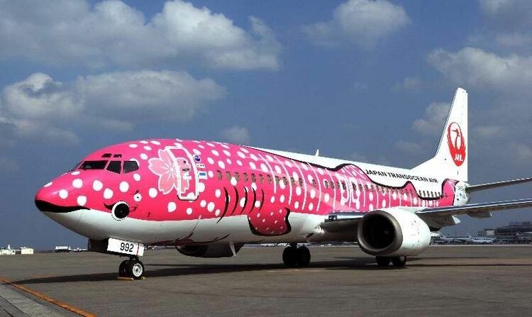 JTA「さくらジンベエ」那覇空港から第1便 | 沖縄タイムス＋プラス