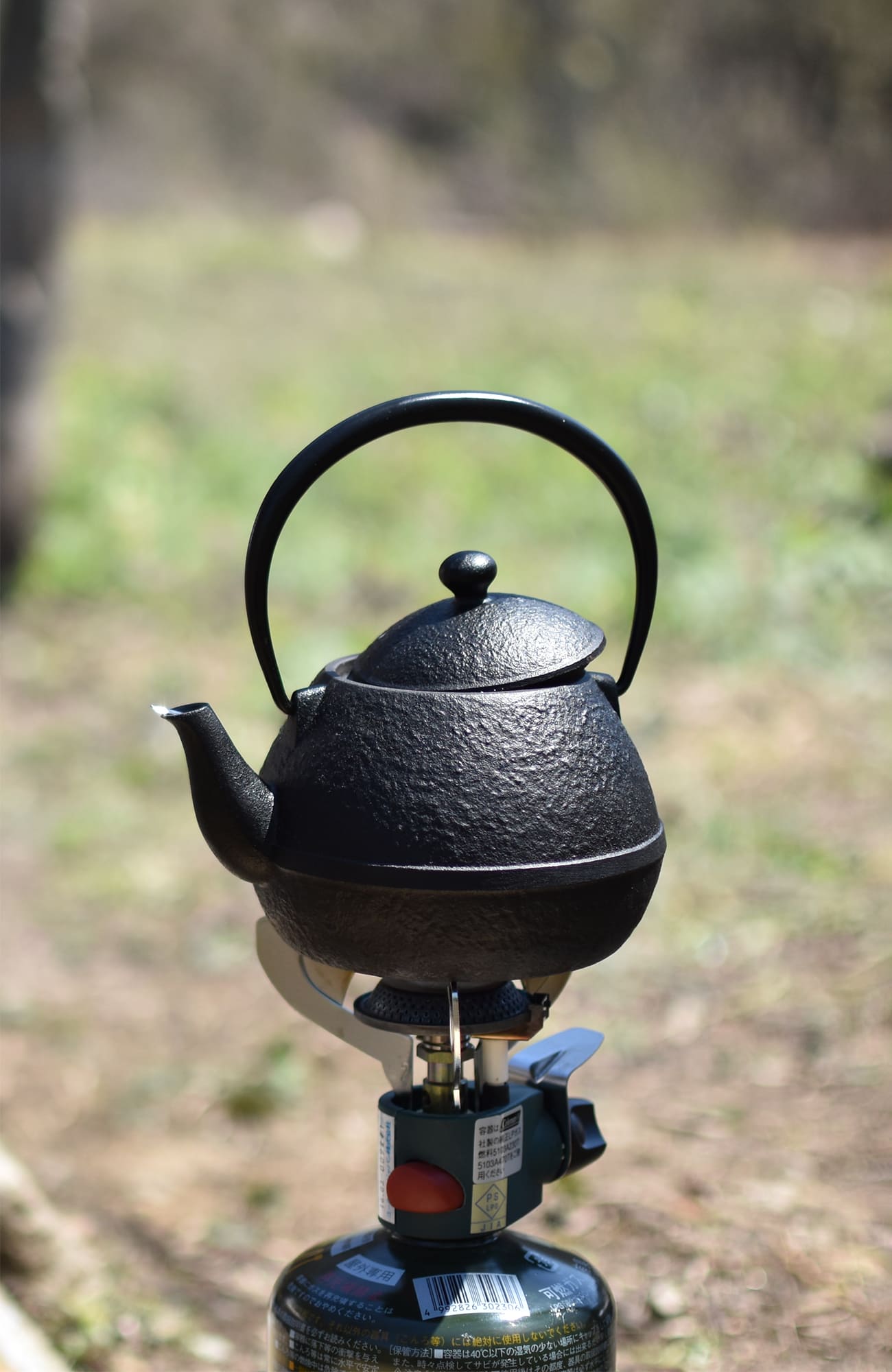 鉄瓶 たまご形 0.55L | 南部鉄器の老舗 及源鋳造 OIGEN 公式オンライン