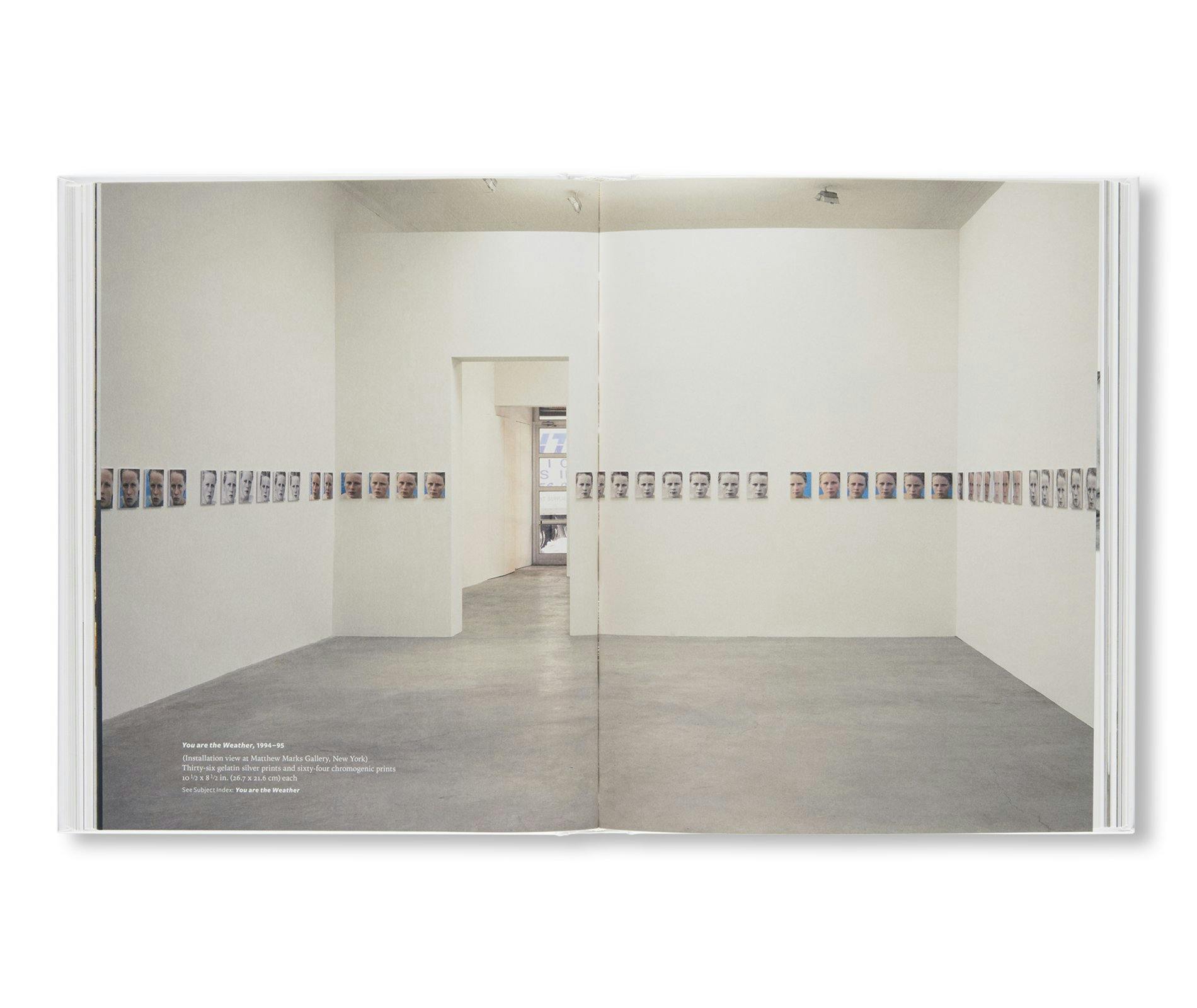 RONI HORN AKA RONI HORN：ロニ・ホーン | OIL - 現代アート・絵画の