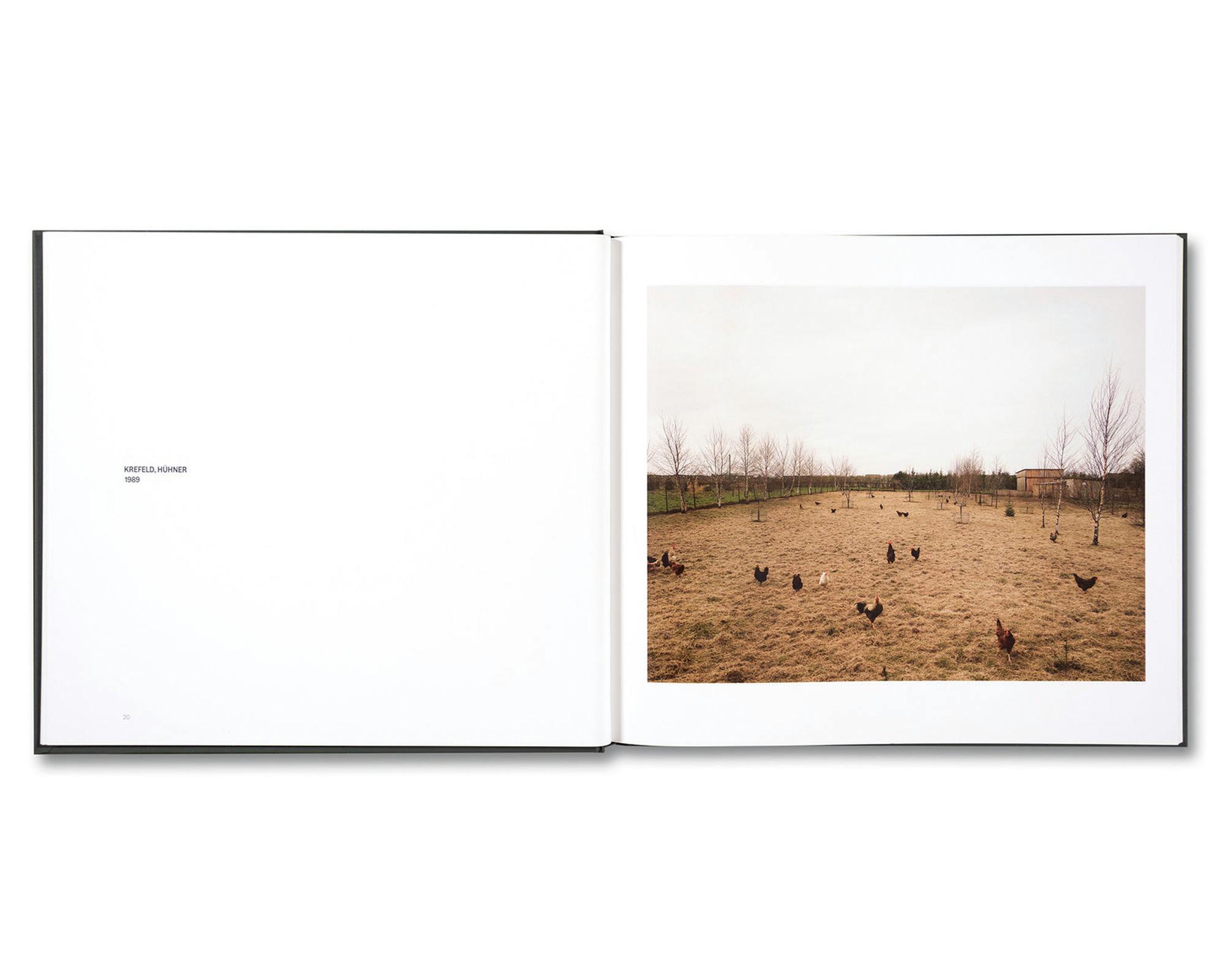 VISUAL SPACES OF TODAY：アンドレアス・グルスキー | OIL - 現代